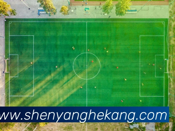 奖项图1